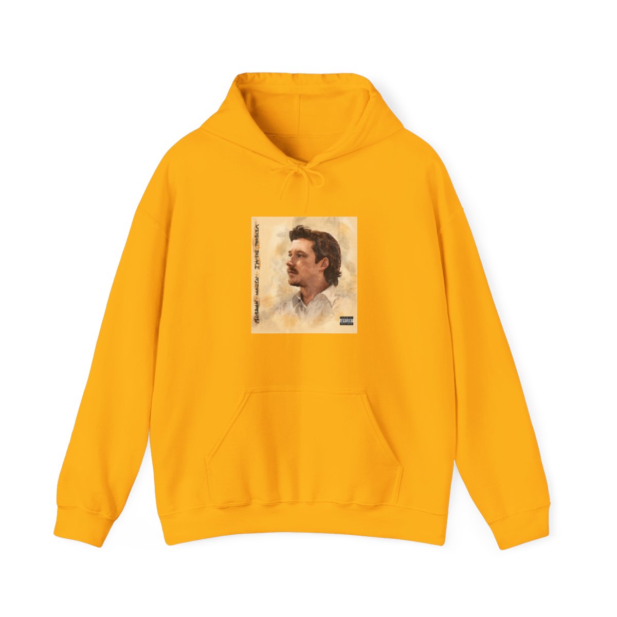 Morgan Wallen Album I'm the Problem Hoodie - alternate angle 5, merchandise